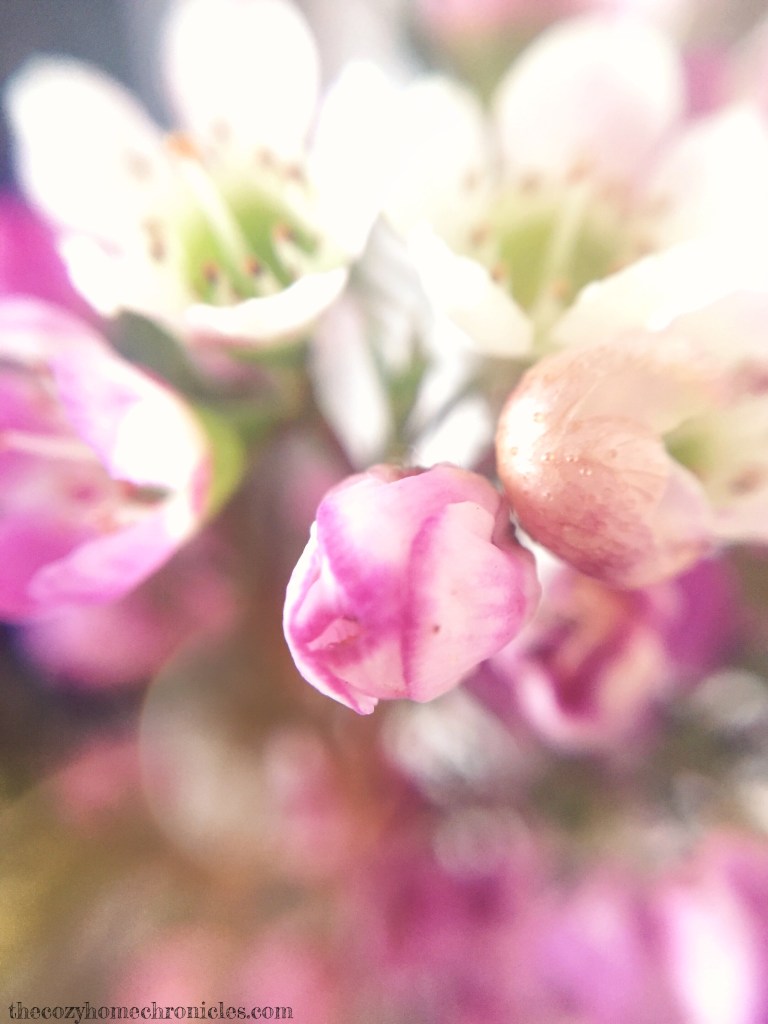 2016-03-17 09.53.13 copy