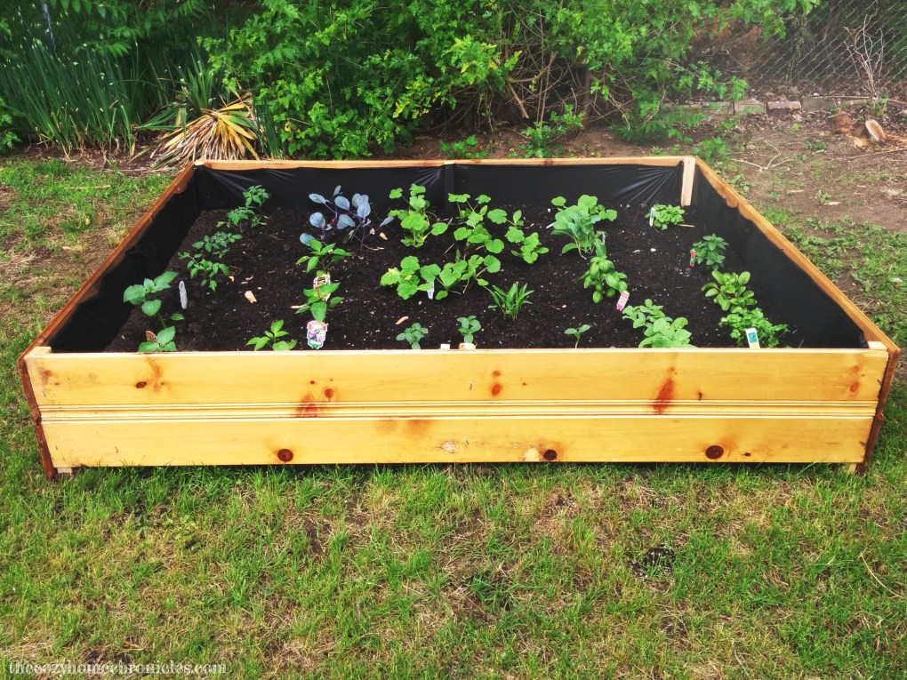 garden bed copy copy