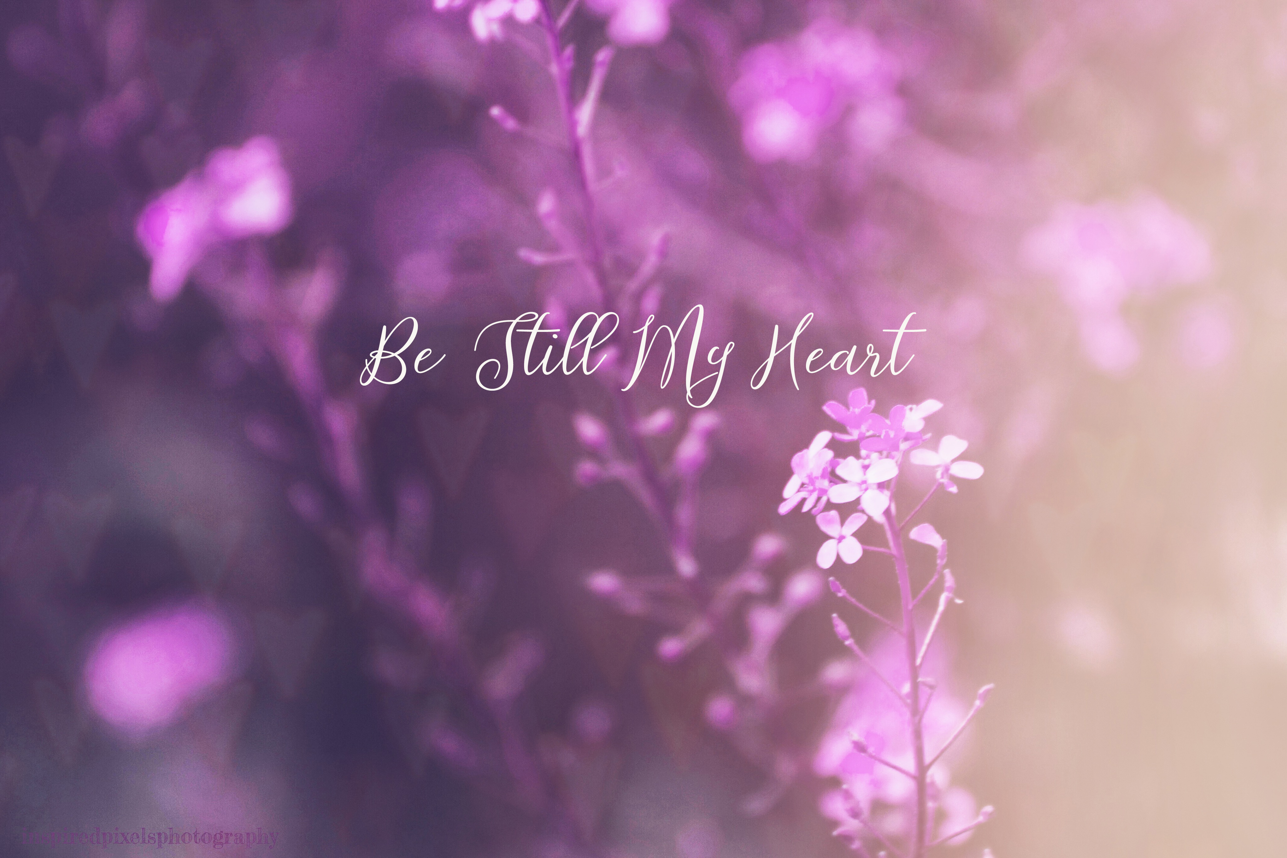 Be Still